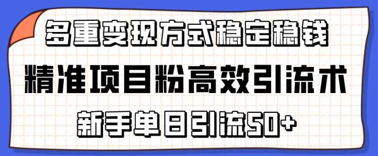 精准项目粉高效引流术，新手单日引流50+，多重变现方式稳定赚钱【揭秘】-电脑资源自留地