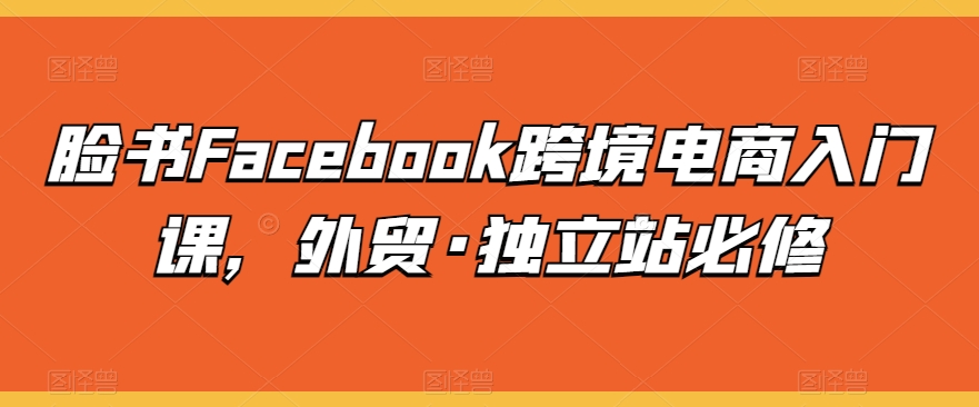 脸书Facebook跨境电商入门课，外贸·独立站必修-电脑资源自留地