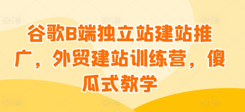 谷歌B端独立站建站推广，外贸建站训练营，傻瓜式教学-电脑资源自留地