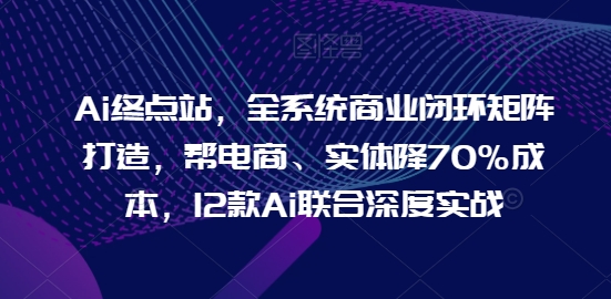 Ai终点站，全系统商业闭环矩阵打造，帮电商、实体降70%成本，12款Ai联合深度实战-电脑资源自留地