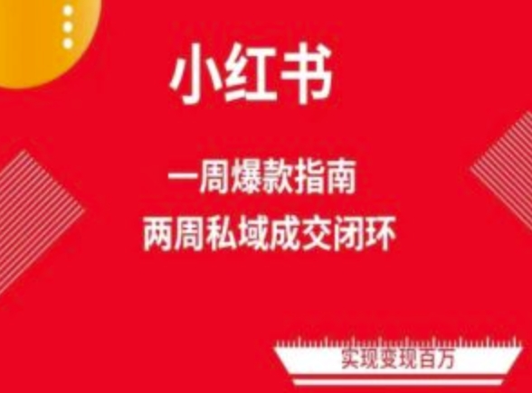 爆款小红书免费流量体系课程(两周变现)，小红书电商教程-电脑资源自留地