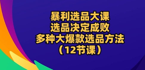 暴利选品大课：选品决定成败，教你多种大爆款选品方法(12节课)-电脑资源自留地