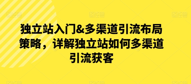 独立站入门&多渠道引流布局策略，详解独立站如何多渠道引流获客-电脑资源自留地