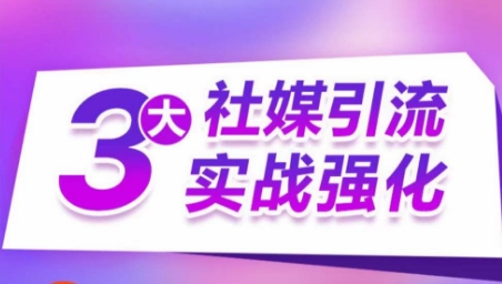 3大社媒引流实战强化，多渠道站外引流，高效精准获客，订单销售额翻倍增长-电脑资源自留地