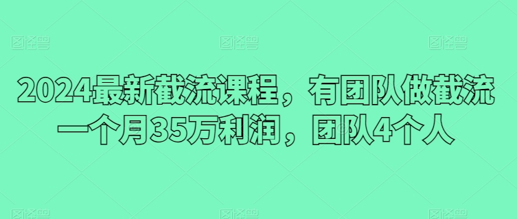 2024最新截流课程，有团队做截流一个月35万利润，团队4个人-电脑资源自留地