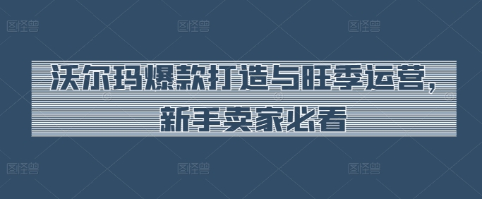 沃尔玛爆款打造与旺季运营，新手卖家必看-电脑资源自留地