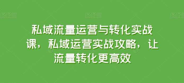 私域流量运营与转化实战课，私域运营实战攻略，让流量转化更高效-电脑资源自留地