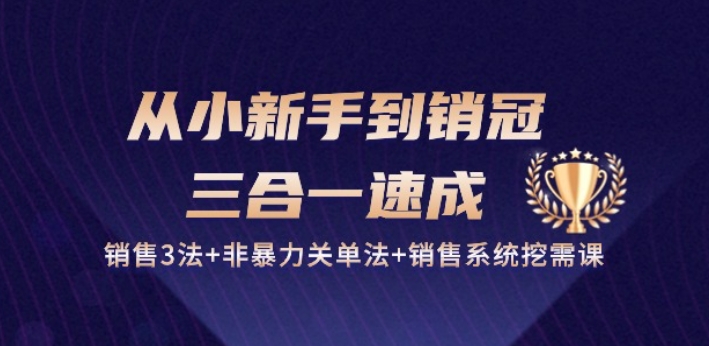 从小新手到销冠 三合一速成：销售3法+非暴力关单法+销售系统挖需课 (27节)-电脑资源自留地