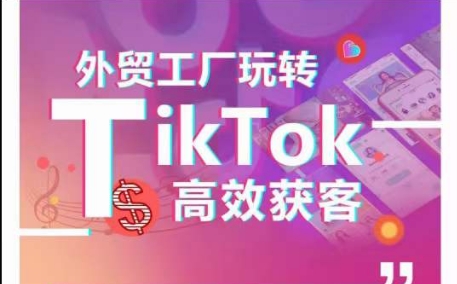 外贸工厂玩转TikTok高效获客，多种引流方式与账号定位技巧，拆解爆款短视频打造成功案例-电脑资源自留地
