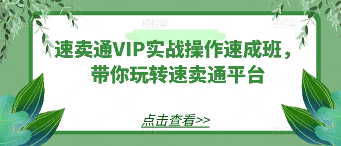 速卖通VIP实战操作速成班，带你玩转速卖通平台-电脑资源自留地