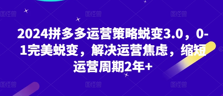 2024拼多多运营策略蜕变3.0，0-1完美蜕变，解决运营焦虑，缩短运营周期2年+-电脑资源自留地