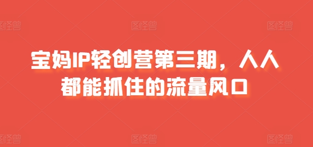 宝妈IP轻创营第三期，人人都能抓住的流量风口-电脑资源自留地