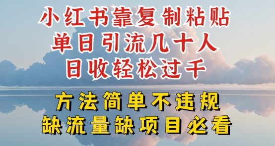 小红书靠复制粘贴单日引流几十人目收轻松过千，方法简单不违规【揭秘】-电脑资源自留地