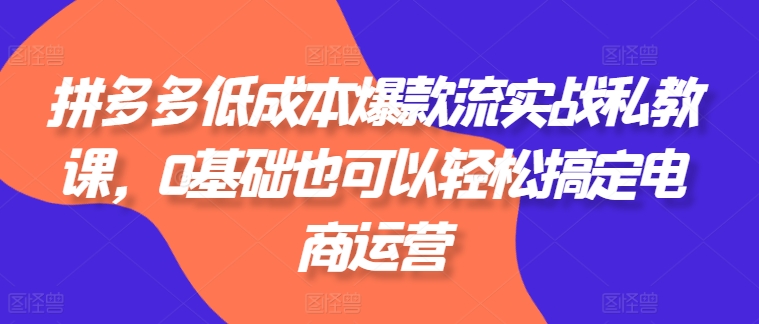 拼多多低成本爆款流实战私教课，0基础也可以轻松搞定电商运营-电脑资源自留地