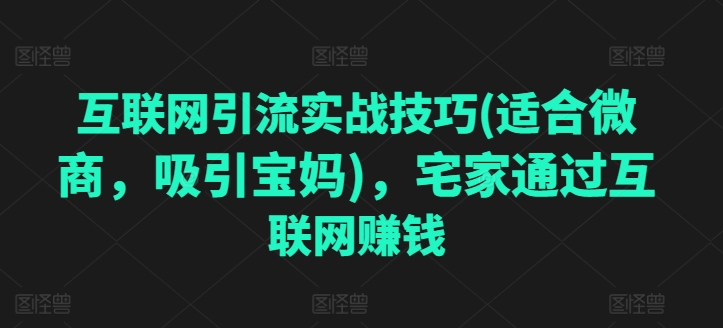 互联网引流实战技巧(适合微商，吸引宝妈)，宅家通过互联网赚钱-电脑资源自留地