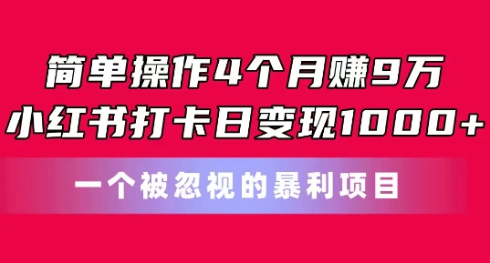 简单操作4个月赚9w，小红书打卡日变现1k，一个被忽视的暴力项目【揭秘】-电脑资源自留地