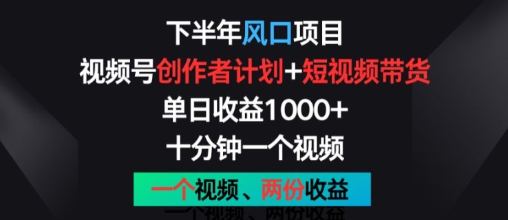 下半年风口项目，视频号创作者计划+视频带货，一个视频两份收益，十分钟一个视频【揭秘】-电脑资源自留地