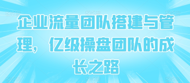 企业流量团队搭建与管理，亿级操盘团队的成长之路-电脑资源自留地