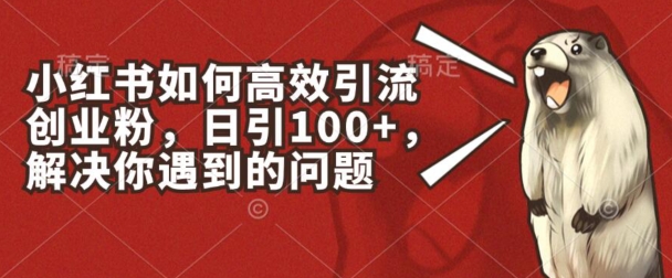 小红书如何高效引流创业粉，日引100+，解决你遇到的问题【揭秘】-电脑资源自留地