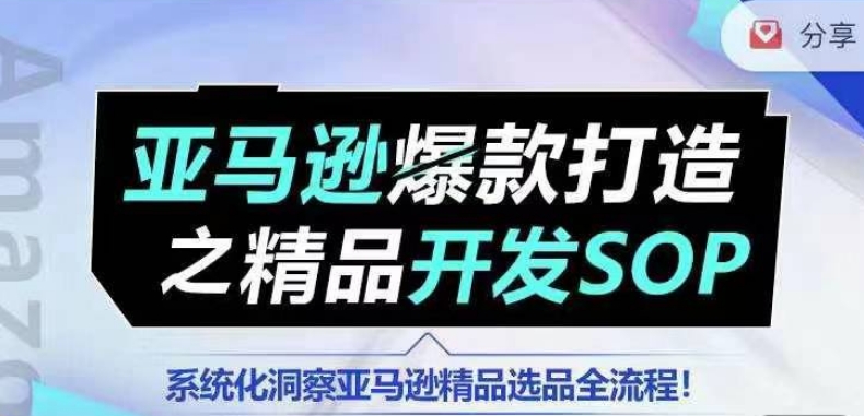 【训练营】亚马逊爆款打造之精品开发SOP，系统化洞察亚马逊精品选品全流程-电脑资源自留地