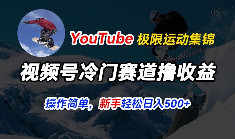视频号冷门赛道撸收益，YouTube搬运极限运动集锦，暴力起号，操作简单流量高，轻松日入5张【揭秘】-电脑资源自留地