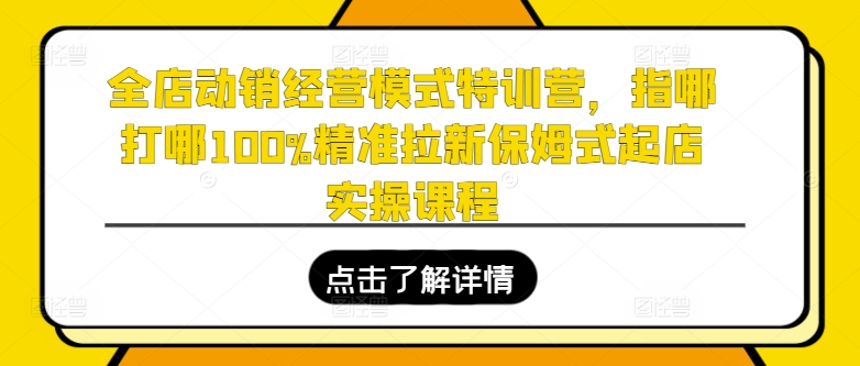 全店动销经营模式特训营，指哪打哪100%精准拉新保姆式起店实操课程-电脑资源自留地