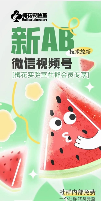 梅花实验室2024年AB技术视频号AB合成破解版-电脑资源自留地
