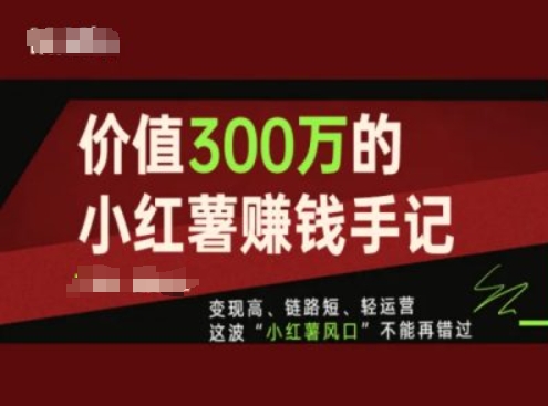 价值300万的小红书赚钱手记，变现高、链路短、轻运营，这波“小红薯风口”不能再错过-电脑资源自留地