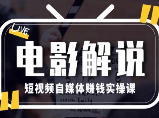 电影解说短视频自媒体赚钱实操课，教你做电影解说短视频，月赚1万-电脑资源自留地