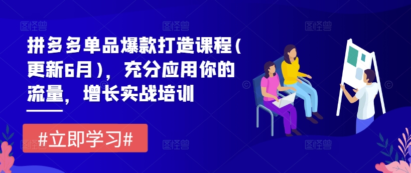 拼多多单品爆款打造课程(更新6月)，充分应用你的流量，增长实战培训-电脑资源自留地