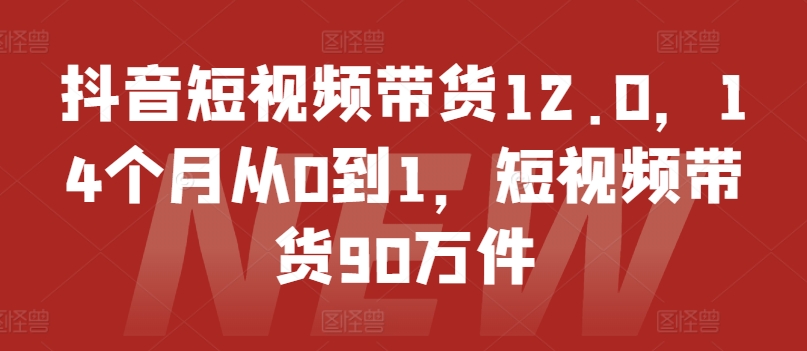 抖音短视频带货12.0，14个月从0到1，短视频带货90万件-电脑资源自留地