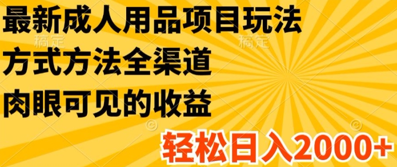 最新成人用品项目玩法，方式方法全渠道，轻松日入2K+【揭秘】-电脑资源自留地