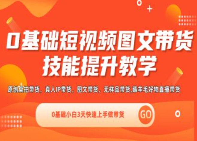0基础短视频图文带货实操技能提升教学(直播课+视频课),0基础小白3天快速上手做带货-电脑资源自留地
