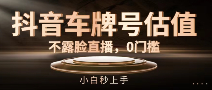 抖音车牌号估值，不露脸直播，0门槛，小白秒上手【揭秘】-电脑资源自留地