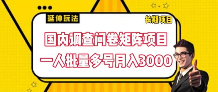 国内调查问卷矩阵项目，一人批量多号月入3000【揭秘】-电脑资源自留地