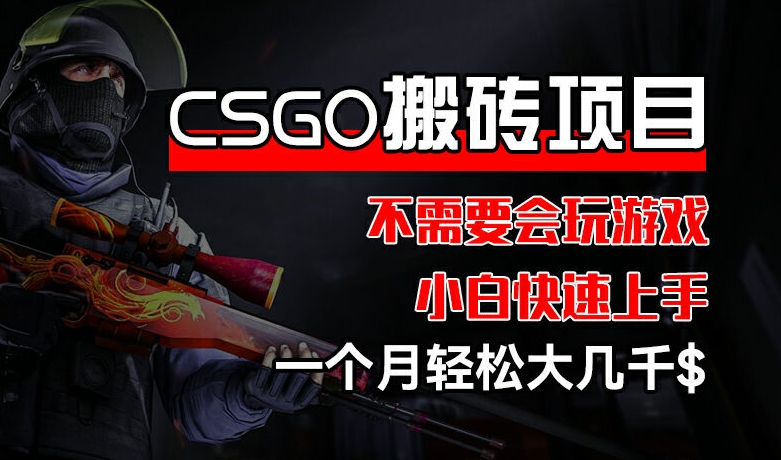 CSGO 装备搬砖项目，操作简单，不需要会玩游戏，小白也能快速上手，一个月轻松大几千【揭秘】-电脑资源自留地
