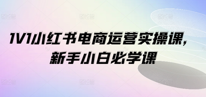 1V1小红书电商运营实操课，新手小白必学课-电脑资源自留地