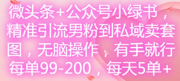微头条+公众号小绿书，精准引流男粉到私域卖套图，无脑操作，有手就行，每单99-200，每天5单-电脑资源自留地