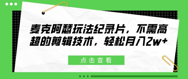 麦克阿瑟玩法纪录片，不需高超的剪辑技术，轻松月入2w+【揭秘】-电脑资源自留地