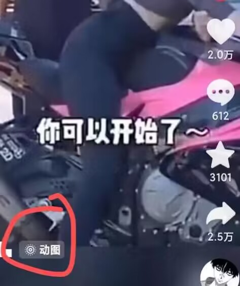 2024年7月苹果手机动图搬运技术-电脑资源自留地