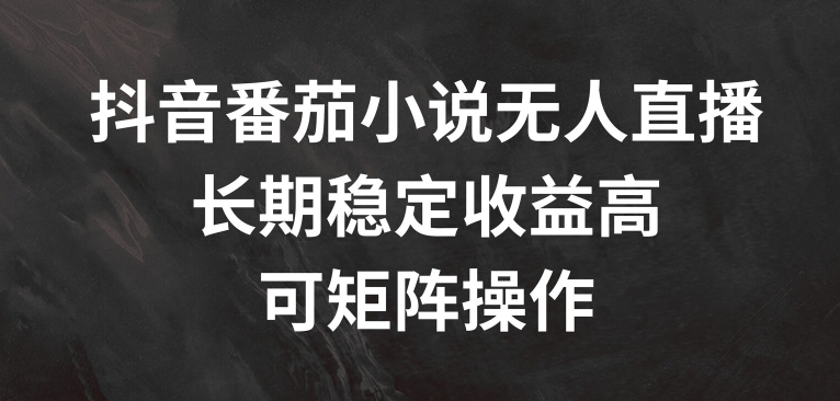 抖音番茄小说无人直播，长期稳定收益高，可矩阵操作【揭秘】-电脑资源自留地