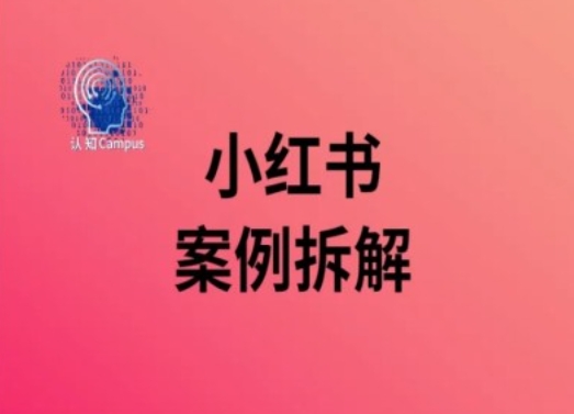 小红书案例拆解，深度解读小红书40万粉-电脑资源自留地