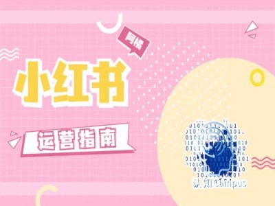 小红书运营指南，没有套路，全是经验-电脑资源自留地