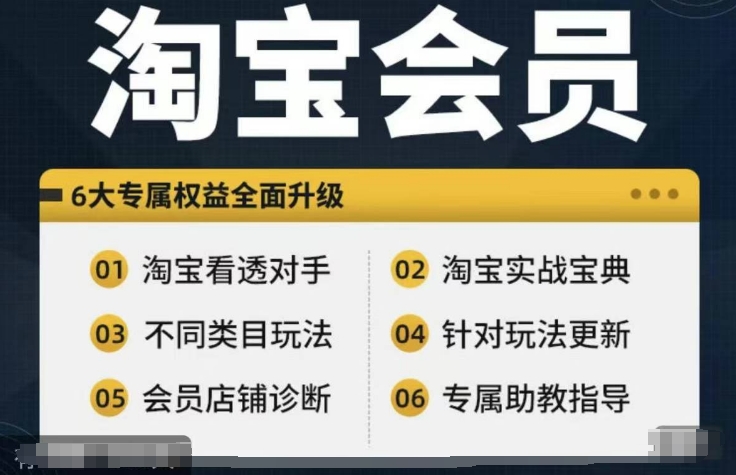 淘宝会员【淘宝所有课程，全面分析对手】，初级到高手全系实战宝典-电脑资源自留地