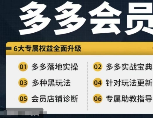 拼多多会员，拼多多实战宝典+实战落地实操，从新手到高阶内容全面覆盖-电脑资源自留地