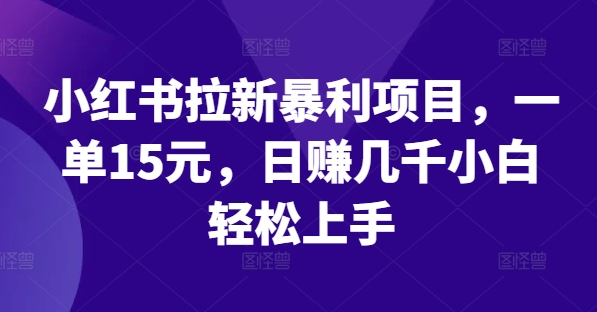 小红书拉新暴利项目，一单15元，日赚几千小白轻松上手【揭秘】-电脑资源自留地