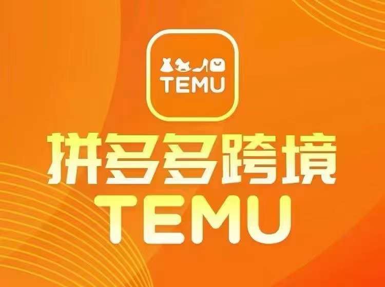 最新TEMU拼多多跨境教程，开店、运营、选品-电脑资源自留地