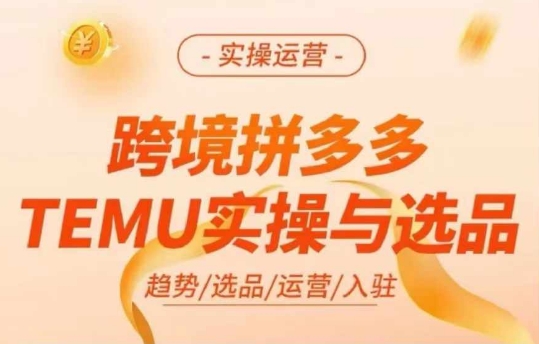 跨境拼多多TEMU实操与选品，多多temu跨境选品运营实操-电脑资源自留地