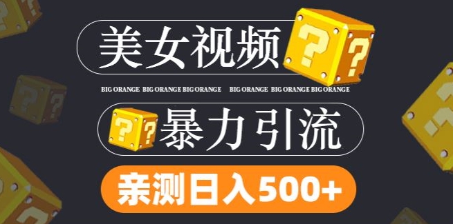 搬运tk美女视频全网分发，日引s粉300+，轻松变现，不限流量不封号【揭秘】-电脑资源自留地