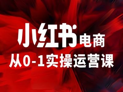 小红书电商从0-1实操运营课，让你从小白到精英-电脑资源自留地